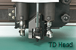 TD Head